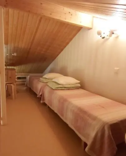 Jaakopinpaja A&b レヴィ